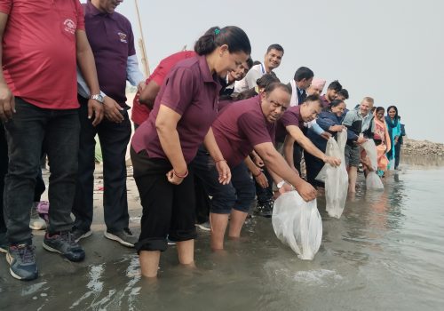 नारायणी नदि र सुस्ता तालमा ५१ हजार माछाको भुरा छाडियो ।