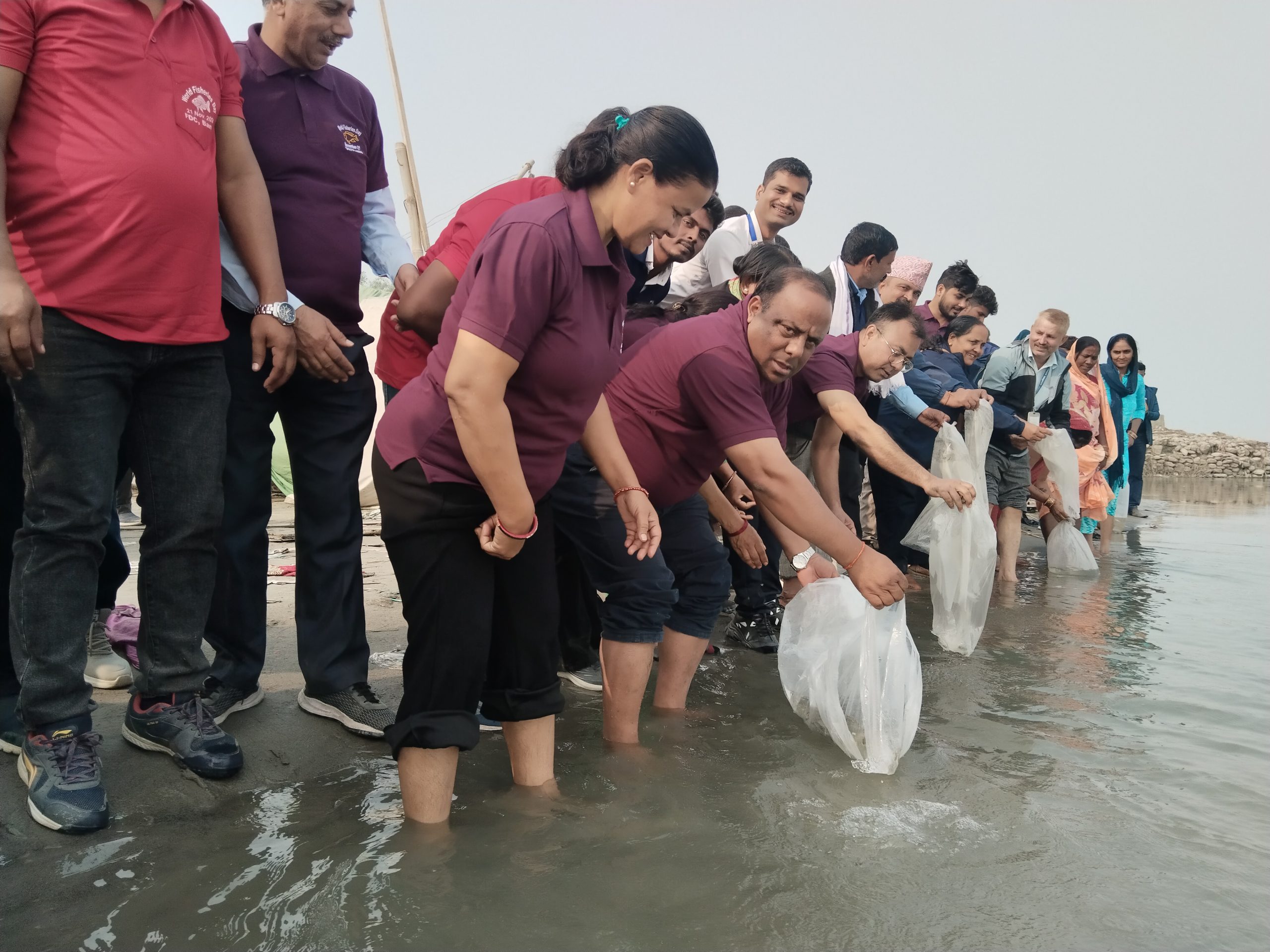 नारायणी नदि र सुस्ता तालमा ५१ हजार माछाको भुरा छाडियो ।